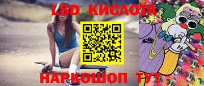 стаф Новодвинск