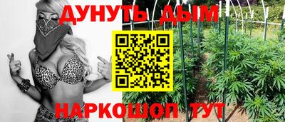 хмурый Новозыбков