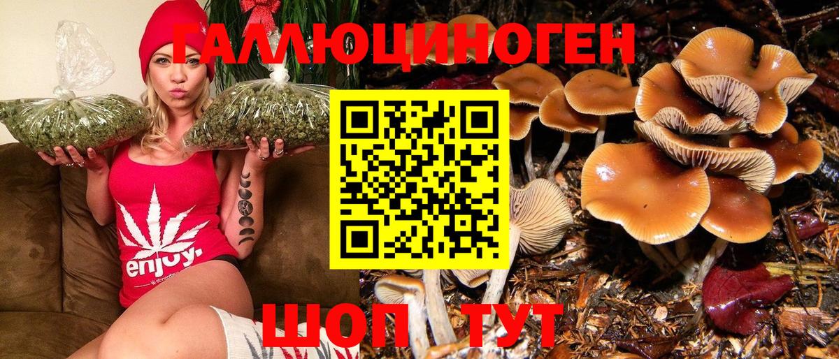 Псилоцибиновые грибы GOLDEN TEACHER Трёхгорный